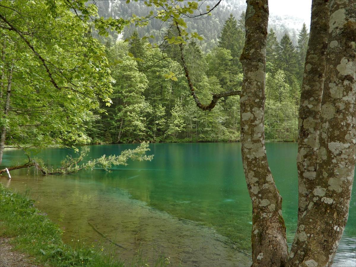 Aparthotel 333 Mit Schwimmbad Kleinwalsertal Mittelberg Exteriér fotografie
